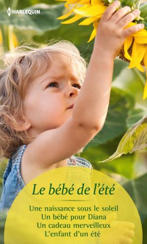 Book cover of Le bébé de l'été