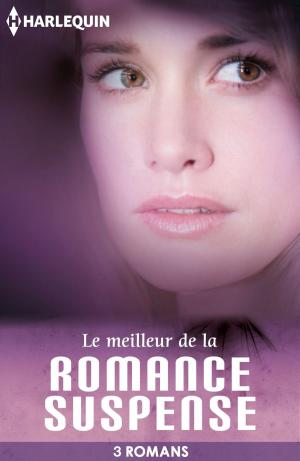 Book cover of Le meilleur de la romance suspense
