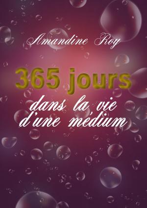 Cover of the book 365 jours dans la vie d'une médium by Andreas Arimont