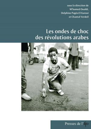 Book cover of Les ondes de choc des révolutions arabes