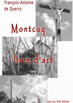 Cover of the book Montcuq, livre d'art by Thomas de Terneuve