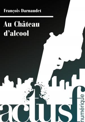 Cover of the book Au Château d'alcool by Gildas Girodeau, Philippe Ward, François Darnaudet