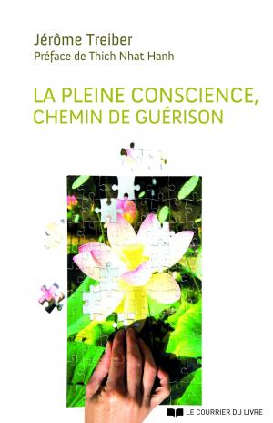 Cover of the book La Pleine Conscience : Chemin de guérison by Mary Paterson