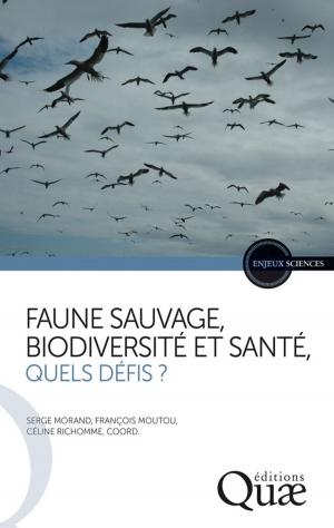 Cover of the book Faune sauvage, biodiversité et santé, quels défis ? by Bruno Mary, Nicolas Beaudoin, Nadine Brisson, Marie Launay