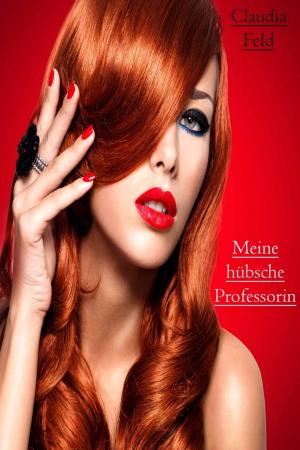 Cover of the book Meine hübsche Professorin by Dorothy Jawwing