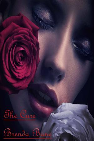 Cover of the book The Cure by Belle Laroux