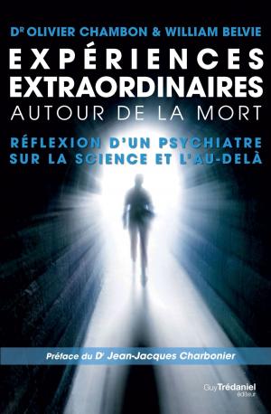 Cover of the book Expériences extraordinaires autour de la mort by Christel Petitcollin
