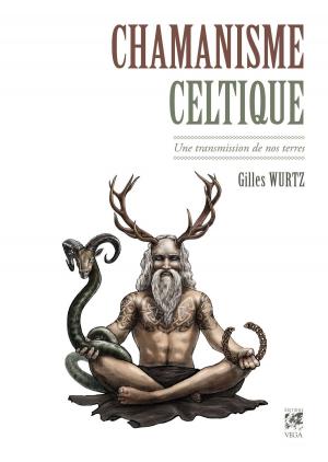 Cover of the book Chamanisme celtique : Une transmission de nos terres by Claude Poncelet