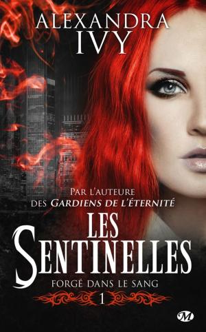 Cover of the book Forgé dans le sang by Marilyn Stellini