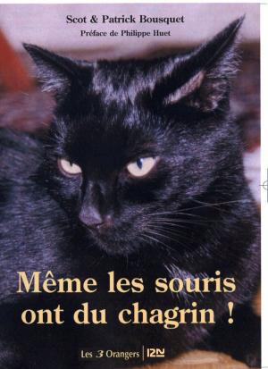Cover of the book Même les souris ont du chagrin by SAN-ANTONIO