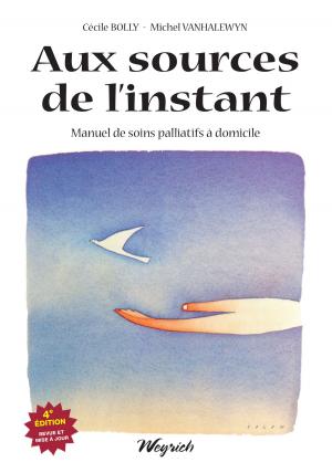 Cover of the book Aux sources de l'instant by Danièle Henky