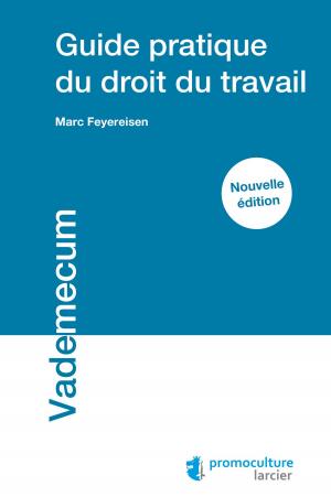 Cover of the book Guide pratique du droit du travail by Melchior Wathelet, Jonathan Wildemeersch