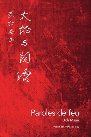 Book cover of Paroles de feu