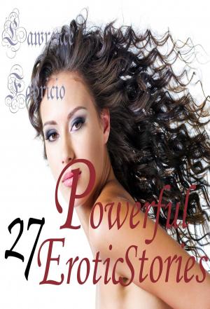 Cover of the book 27 Powerful Erotic Stories by Jamie Richard