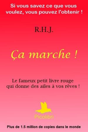 Cover of the book Ça marche ! by Emily Gerde