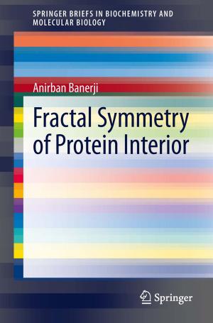 Cover of the book Fractal Symmetry of Protein Interior by Wolfgang Sprößig, João Pedro Morais, Svetlin Georgiev