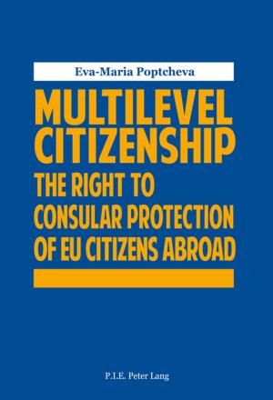 Cover of the book Multilevel Citizenship by Hye Kyung Park