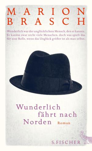 Cover of the book Wunderlich fährt nach Norden by Franz Kafka