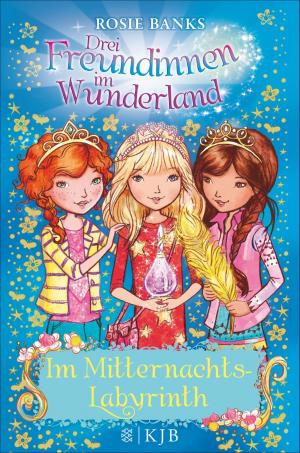 Book cover of Drei Freundinnen im Wunderland: Im Mitternachtslabyrinth
