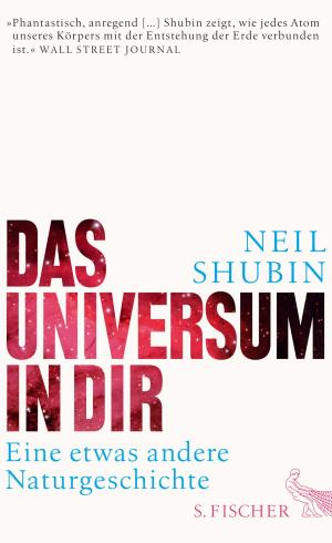 Cover of the book Das Universum in dir by Mark Twain