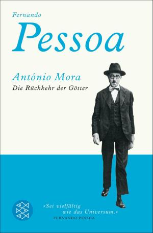 Cover of the book Die Rückkehr der Götter by Wolfgang Hilbig
