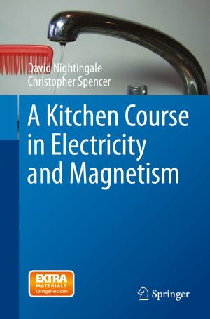 Cover of the book A Kitchen Course in Electricity and Magnetism by José Antonio Pero-Sanz Elorz, Daniel Fernández González, Luis Felipe Verdeja