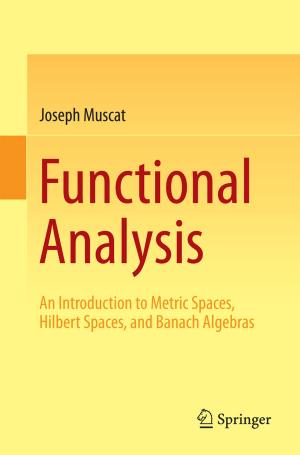 Cover of the book Functional Analysis by Sophie Lufkin, Emmanuel Rey, Suren Erkman