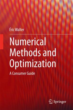 Cover of the book Numerical Methods and Optimization by Simon N. Whitney