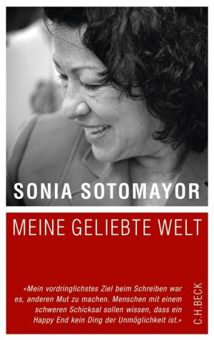 Cover of the book Meine geliebte Welt by Michael Hochgeschwender