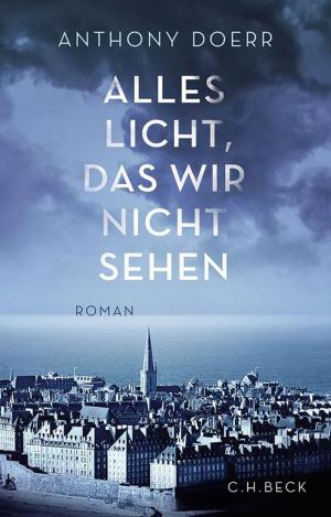 Cover of the book Alles Licht, das wir nicht sehen by Niklas Holzberg