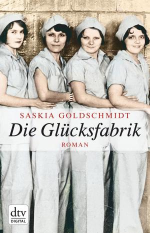 Cover of the book Die Glücksfabrik by Jens Henrik Jensen