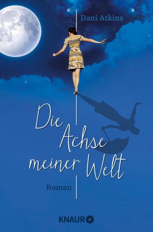 Cover of the book Die Achse meiner Welt by Susanne Mischke