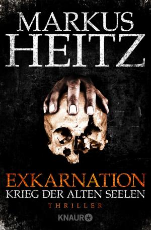 Book cover of Exkarnation - Krieg der Alten Seelen