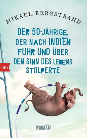 Cover of the book Der Fünfzigjährige, der nach Indien fuhr und über den Sinn des Lebens stolperte by Hanns-Josef Ortheil