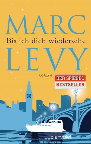 Cover of the book Bis ich dich wiedersehe by Elle Klass
