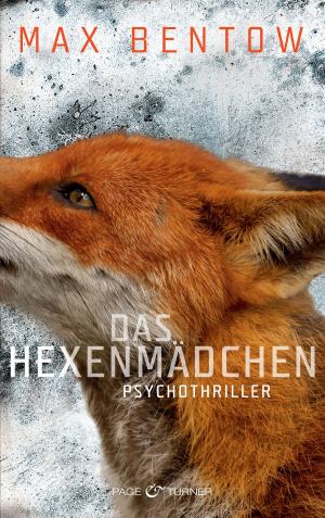 Cover of the book Das Hexenmädchen by Frauke Scheunemann