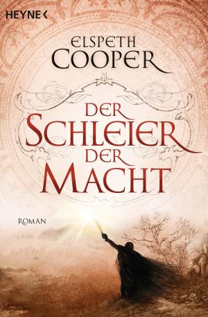 Cover of the book Der Schleier der Macht by Michael A. Stackpole