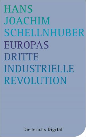 Cover of the book Europas Dritte Industrielle Revolution by Reinhard Kreissl