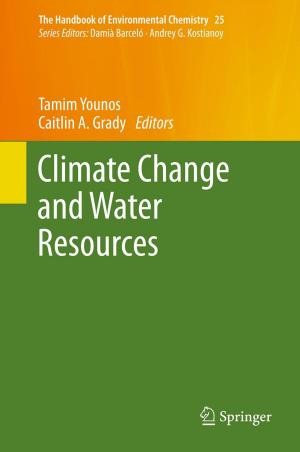 Cover of the book Climate Change and Water Resources by Ivan S. Gutzow, Jürn W.P. Schmelzer