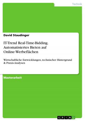 Cover of the book IT-Trend Real-Time-Bidding. Automatisiertes Bieten auf Online-Werbeflächen by Joana Peters
