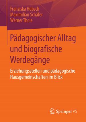 Cover of the book Pädagogischer Alltag und biografische Werdegänge by Andreas Weber