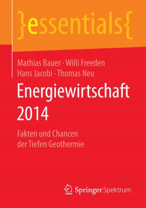 Cover of the book Energiewirtschaft 2014 by Martina Schäfer