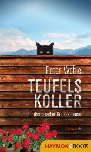 Cover of the book Teufelskoller by Franz Tumler