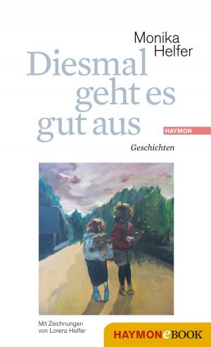 Cover of the book Diesmal geht es gut aus by Klaus Merz