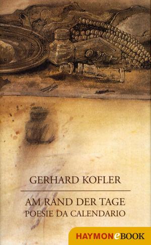 Cover of the book Am Rand der Tage by Manfred Rebhandl