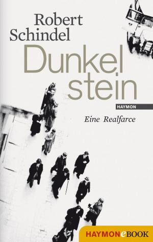 Cover of the book Dunkelstein by Joseph Zoderer