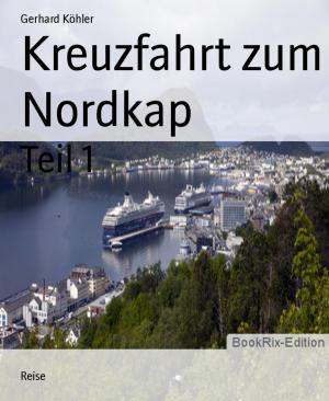 Cover of the book Kreuzfahrt zum Nordkap by Angelika Nylone