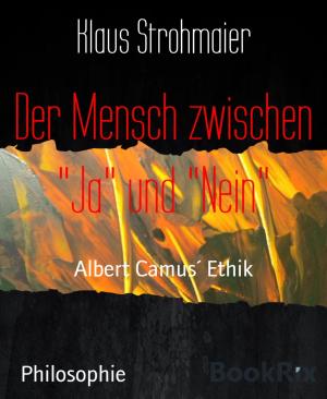 Cover of the book Der Mensch zwischen "Ja" und "Nein" by Stefan Zweig