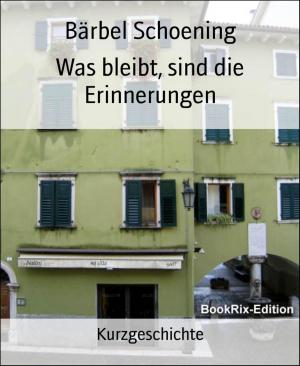 Cover of the book Was bleibt, sind die Erinnerungen by Hendrik M. Bekker