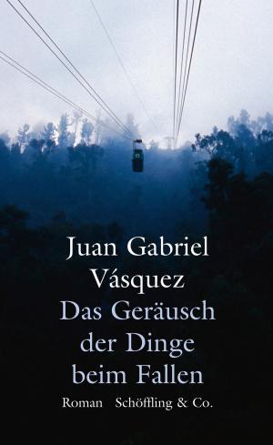Cover of the book Das Geräusch der Dinge beim Fallen by Silke Scheuermann